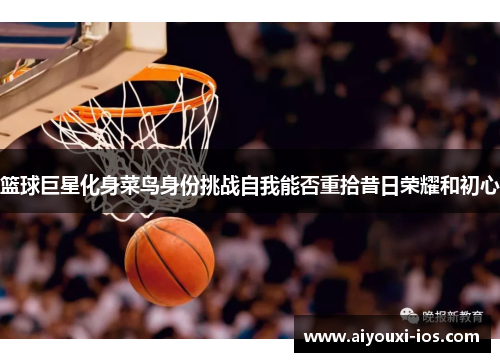 篮球巨星化身菜鸟身份挑战自我能否重拾昔日荣耀和初心