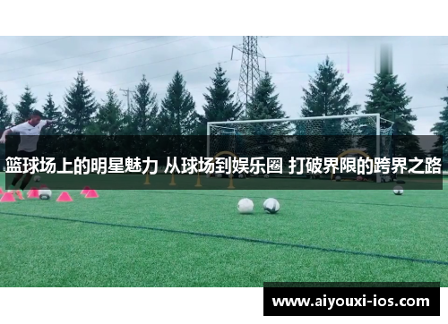 篮球场上的明星魅力 从球场到娱乐圈 打破界限的跨界之路