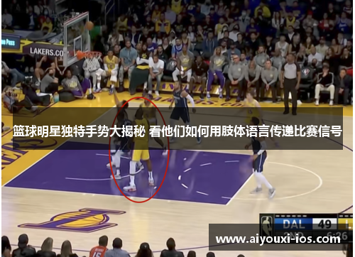 篮球明星独特手势大揭秘 看他们如何用肢体语言传递比赛信号